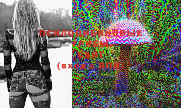 сатива Слюдянка