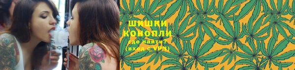 сатива Слюдянка